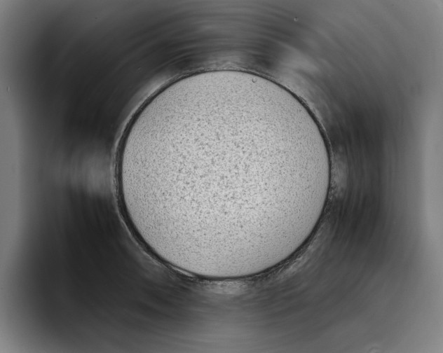 X0000094911090200712271507