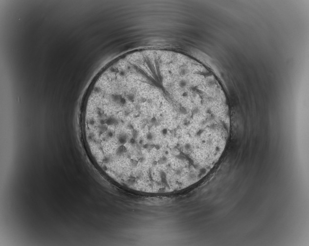 X0000094911091200712271507