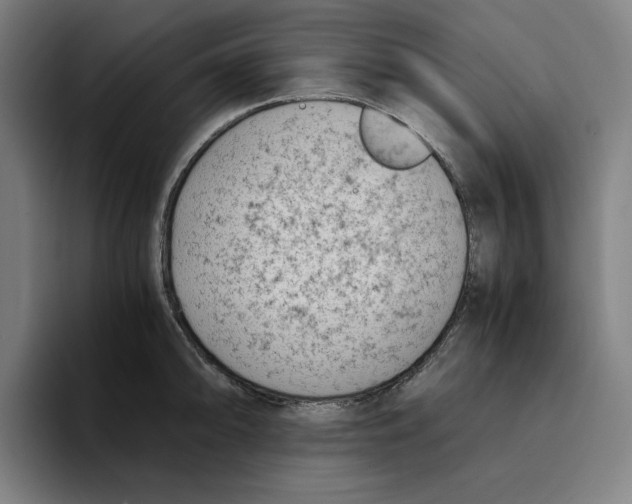 X0000094911094200712271507