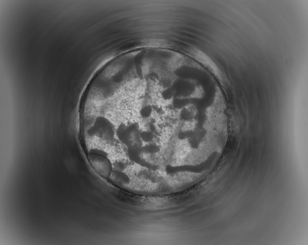 X0000094911095200712271507