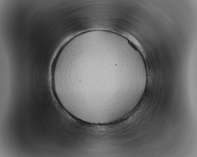 X0000094911096200712271507