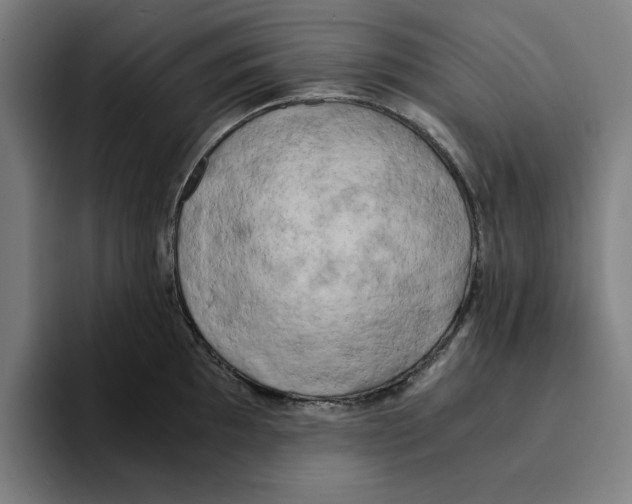 X0000094911097200712271507