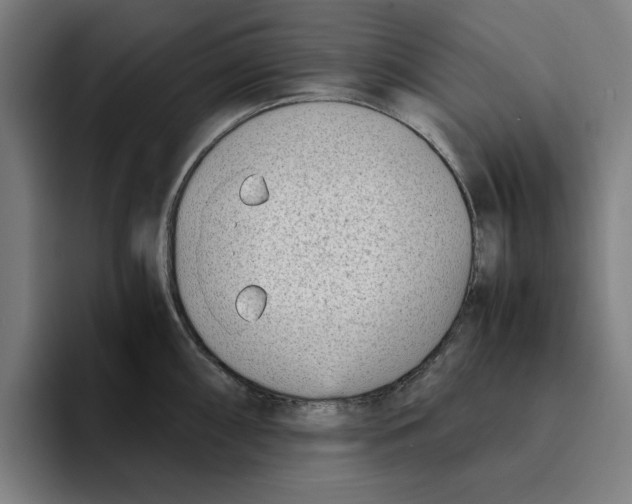 X0000094911098200712271507