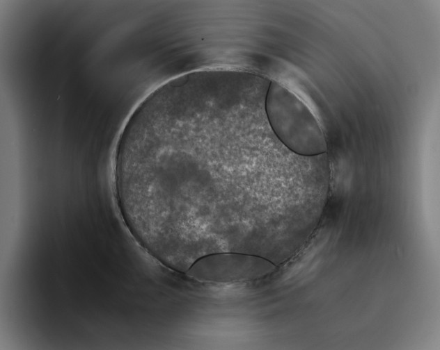 X0000094911099200712271507