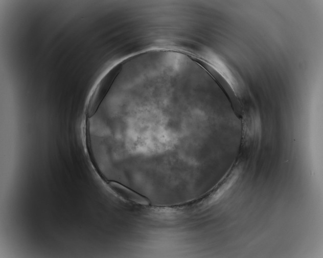 X0000094911100200712271507