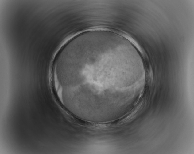 X0000094911101200712271507