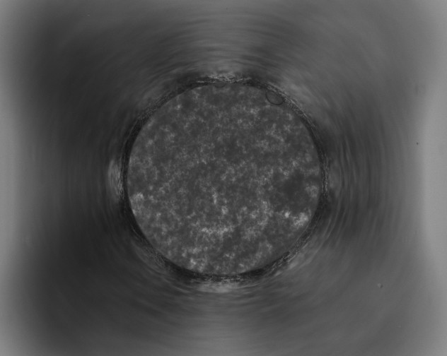 X0000094911106200712271507