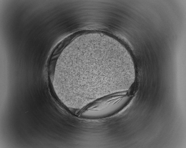 X0000094911114200712271507