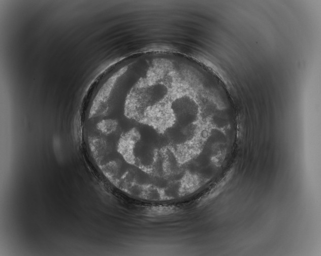 X0000094911117200712271507