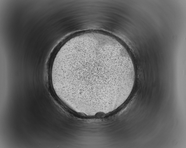 X0000094911118200712271507