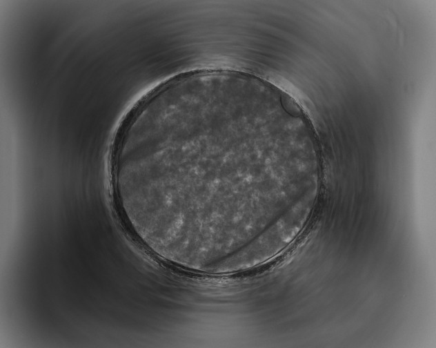 X0000094911120200712271507