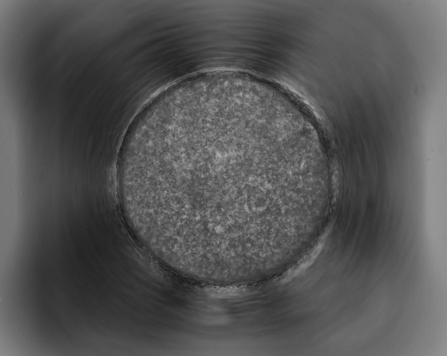 X0000094911121200712271507