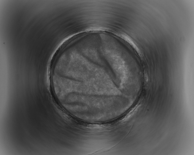 X0000094911124200712271507