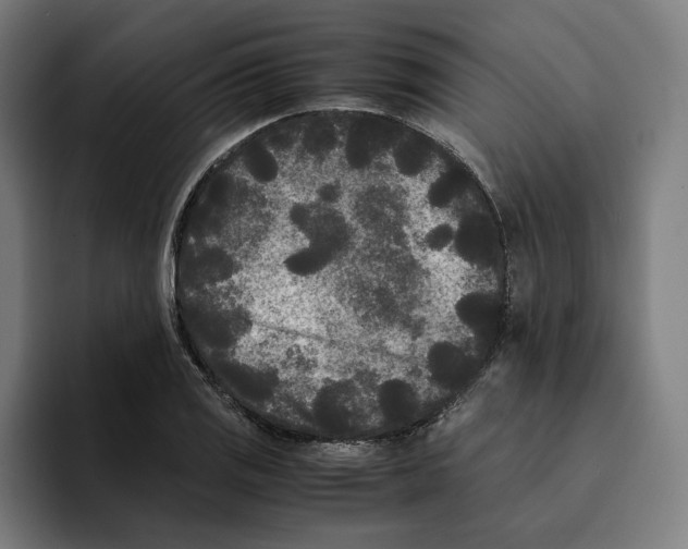 X0000094911125200712271507