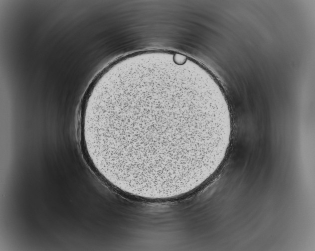 X0000094911126200712271507