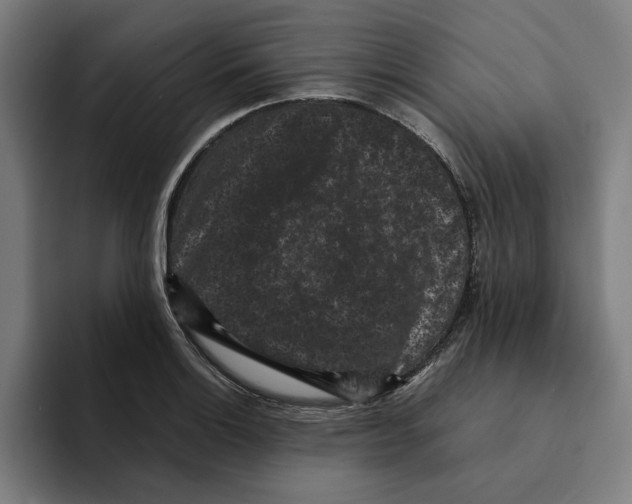 X0000094911132200712271507