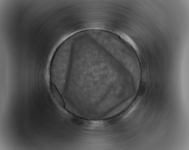 X0000094911144200712271507