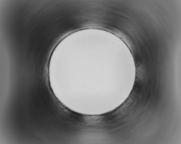 X0000094911150200712271507