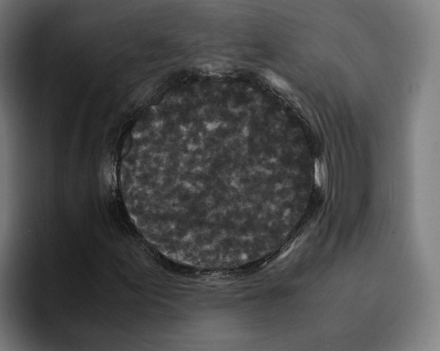 X0000094911155200712271507