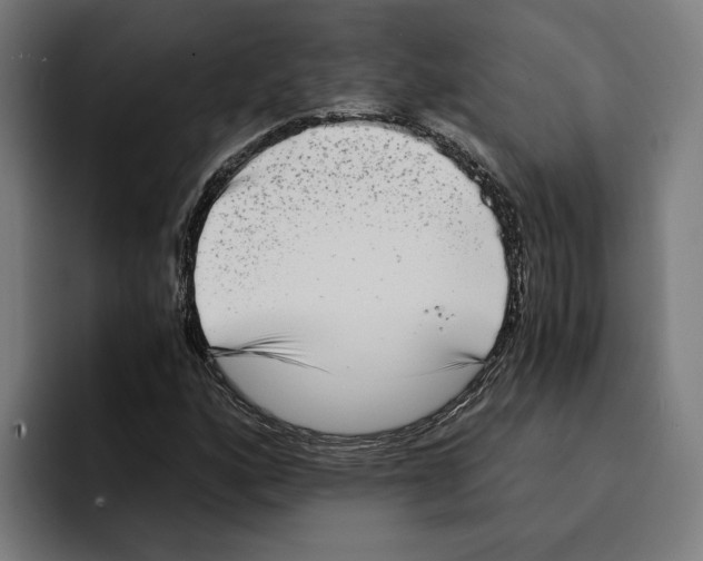 X0000094911160200712271506