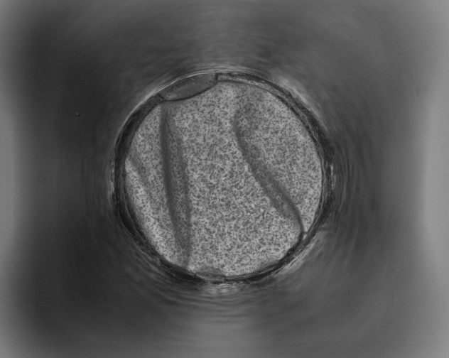 X0000094911165200712271506