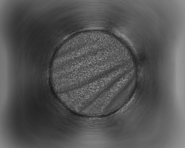 X0000094911169200712271506