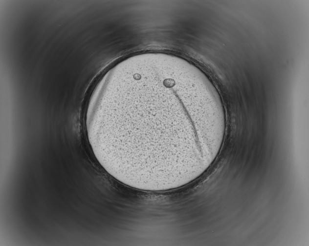 X0000094911170200712271506