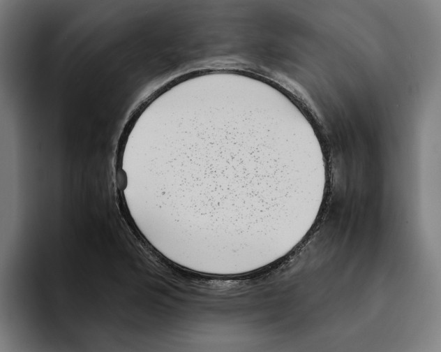 X0000094911176200712271506