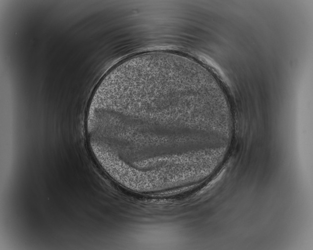 X0000094911177200712271506