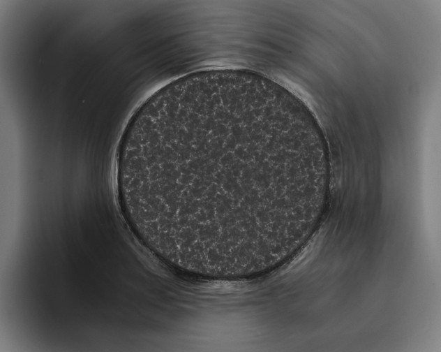 X0000094911179200712271506