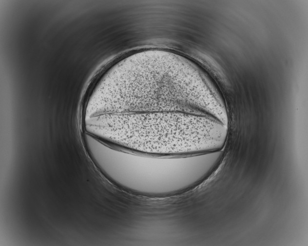 X0000094911180200712271506