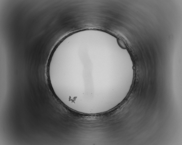 X0000094911182200712271506