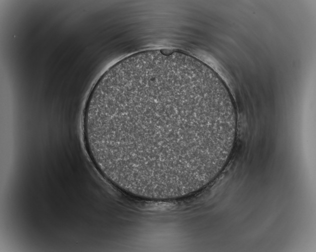 X0000094911187200712271506