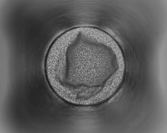 X0000094911189200712271506