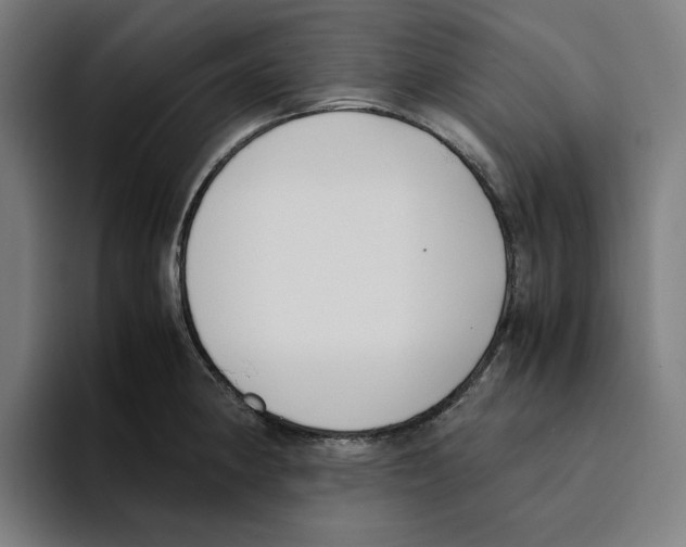 X0000094911190200712271506