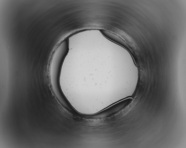 X0000094911192200712271506