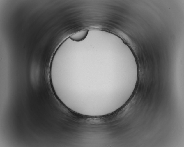 X0000094911194200712271506