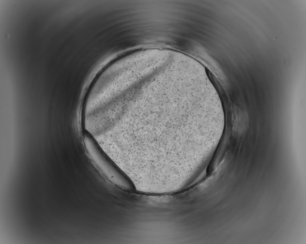 X0000094911196200712271506