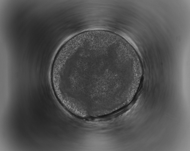 X0000094911197200712271506