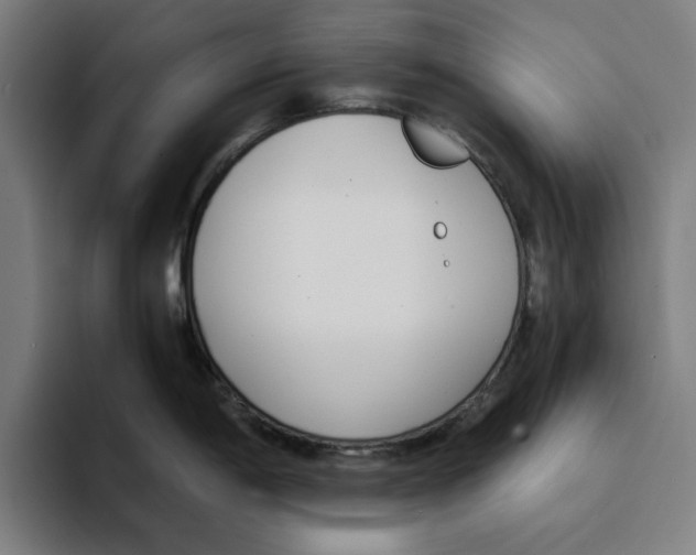 X0000094911198200712271506