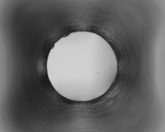 X0000094911202200712271505