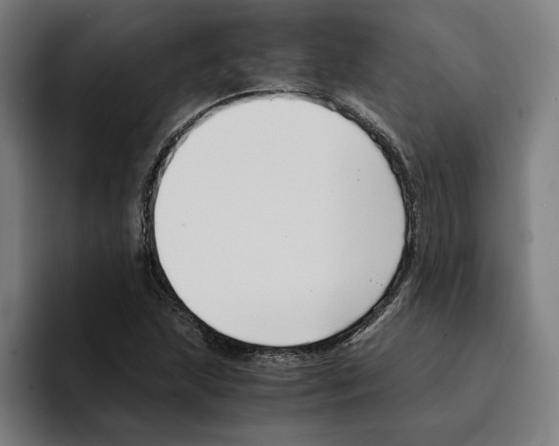 X0000094911215200712271505