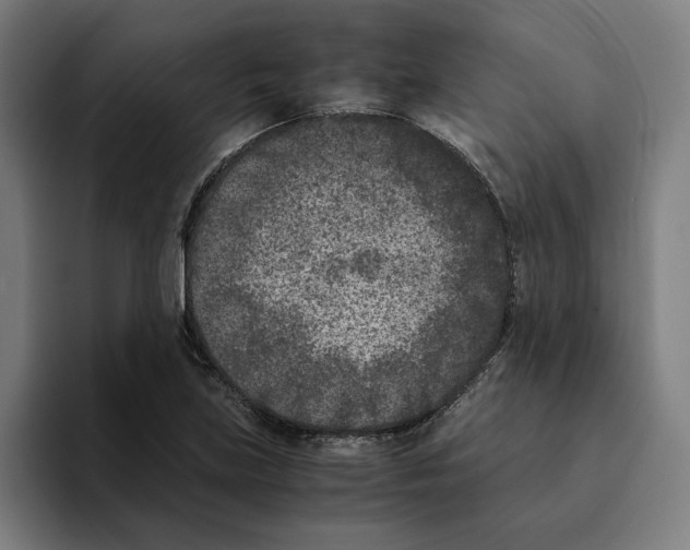 X0000094911219200712271506