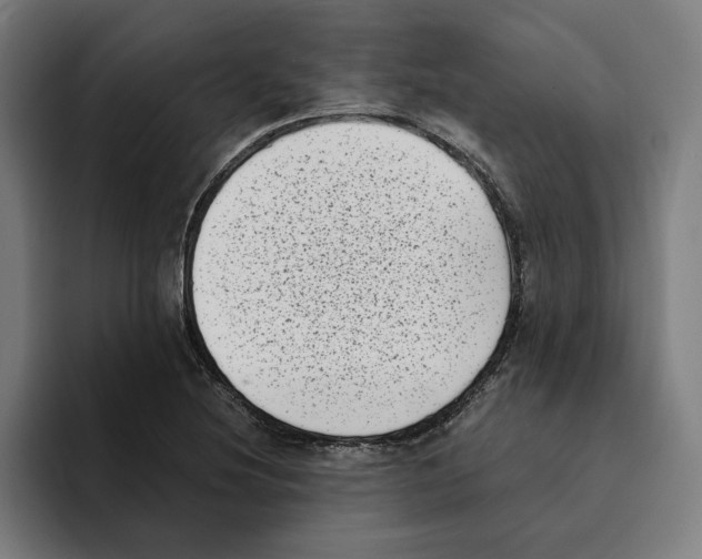 X0000094911220200712271506