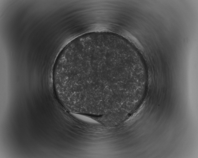 X0000094911226200712271506