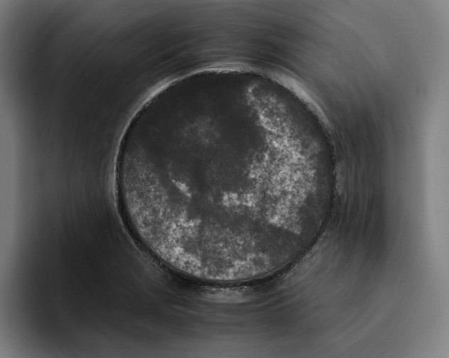 X0000094911229200712271506