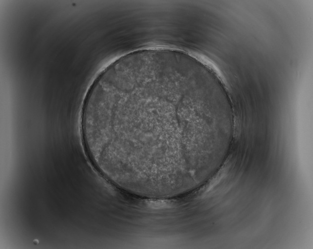 X0000094911231200712271506