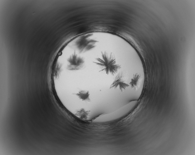 X0000094911235200712271506
