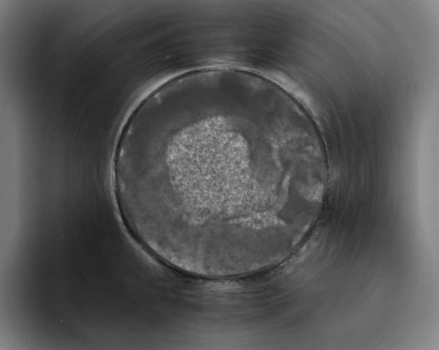 X0000094911239200712271506