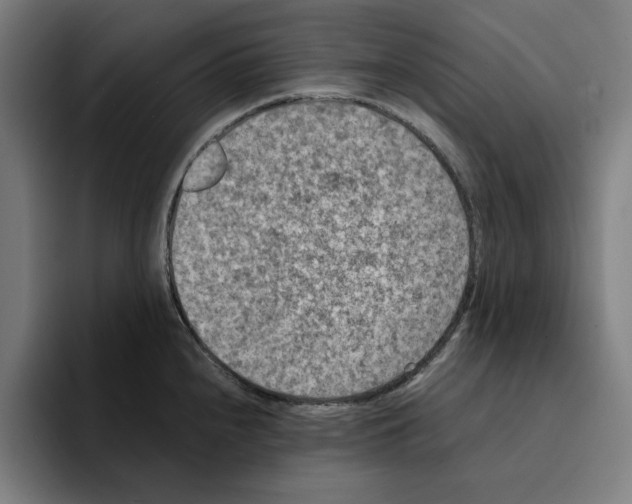 X0000094911240200712271506